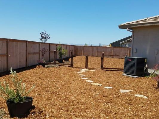 Pavers and ground cover