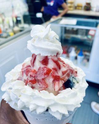 Chantilly Snowball