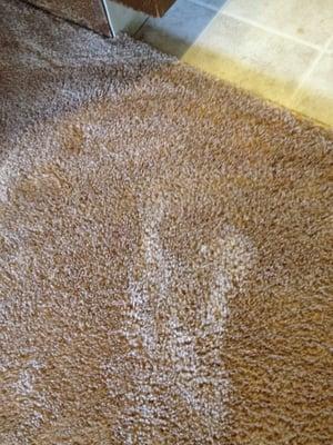 Bleach damage -after carpet dyeing