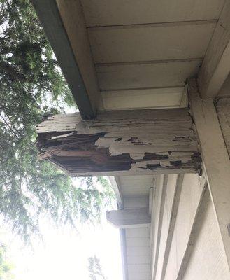 Massive termite and dryrot damage to a beam