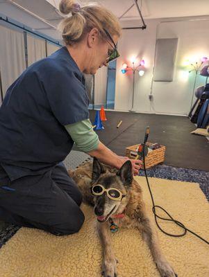 Dr. Emmy applying cold laser therapy