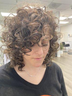 New haircut  Color - grey coverage application and high lights/ haircut for curly hair.