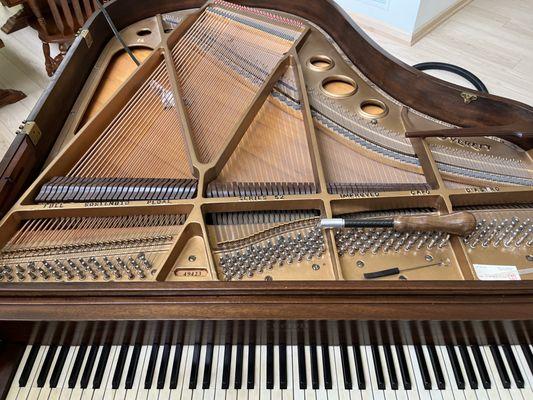 Tuning and cleaning a baby grand piano in North Hills