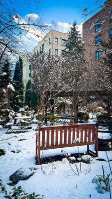 February snow view