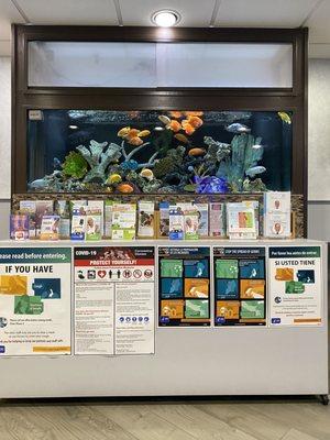 Most beautiful aquarium gives a relaxing look at the waiting room