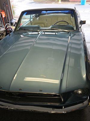 My 67 Mustang after Off Duty Detail revived it.  Amazing!!!  Thanks again Mike!!!  John P.