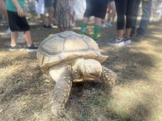 South Plains Wildlife Rehabilitation Center