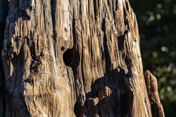 Kings Canyon National Park