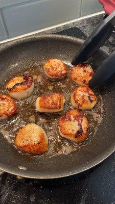 Scallops!