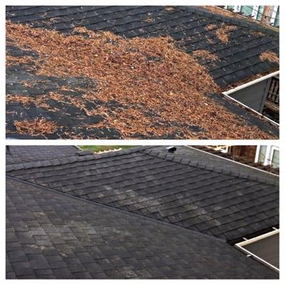 Redmond Roof Blow & Gutter Cleaning