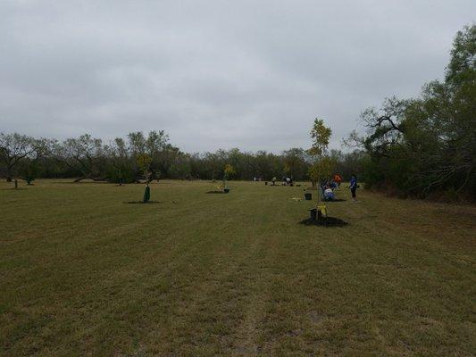 Planting trees for arbor day