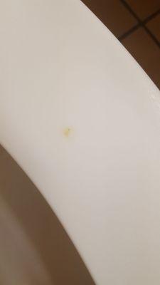 Burn stain on toilet seat