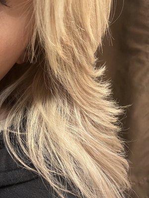 Heavy blonde highlights! Love it! 10/10