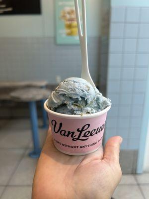 "Planet Earth" vegan ice cream. Blue spirulina and matcha bits. Surprisingly delicious combo! Wasn't disappointed.