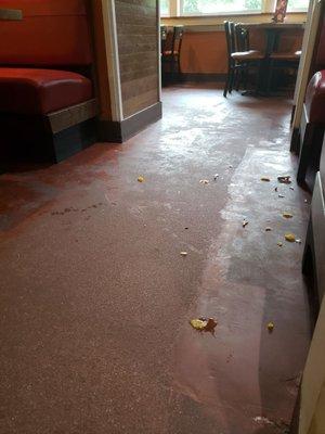 WTF, Chili's.  This place has seriously fallen off.  I've been here at least 10 minutes and nobody has touched this.