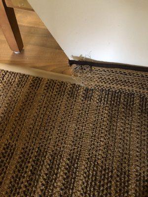 Carpet border was coming off