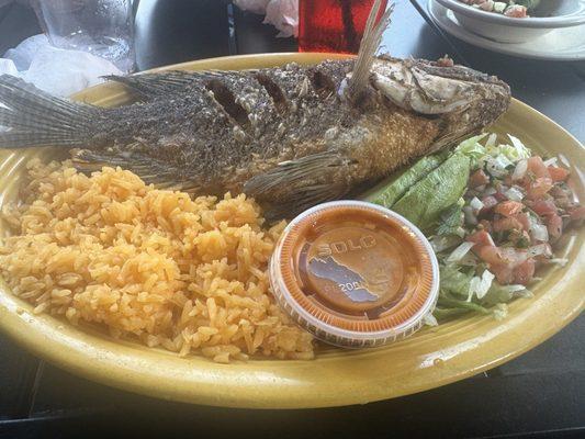 Fried Tilapia