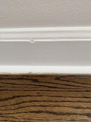 Stain all over the trim! Unacceptable from a professional flooring company.