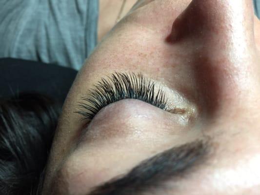 Xtreme Lashes