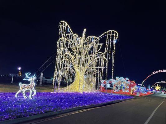 Some of the beautiful twinkling lights on the drive