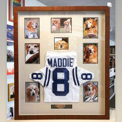 Maddie! Memorial for a great dog.