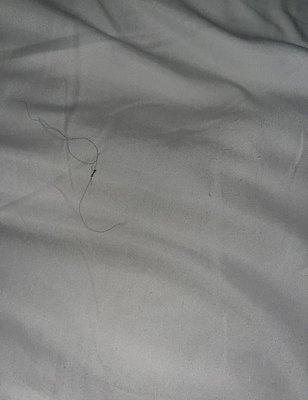 Hair (extremely dirty sheets)