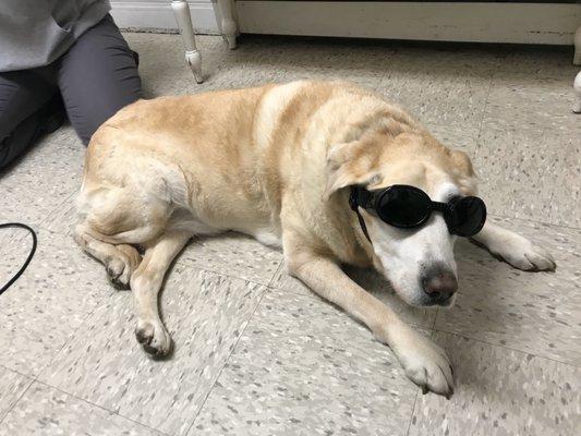 Staying safe during Cold Laser Therapy.