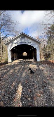 Turkey Run State Park