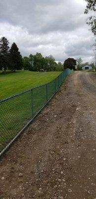 Green vinyl coated chain link fence at a cematery 4' tall