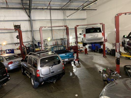 Profesional auto repair shop