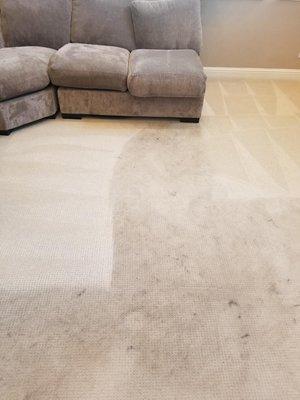 During Carpet Cleaning