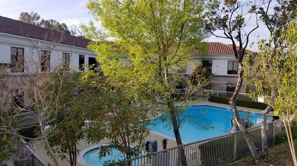 Outdoor Pool Area