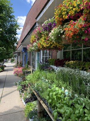 Grapevine Natural Grocery