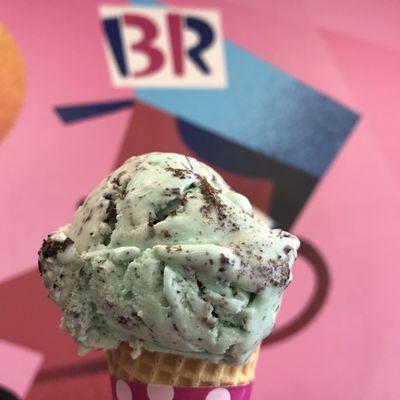 Single Scoop of Mint chocolate chip ice cream on a sugar cone - $3.39 only!