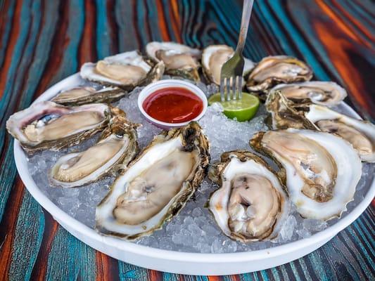 Oysters on the Half Shell