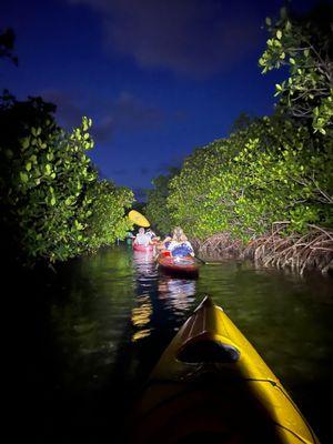 Kayaking in the Mangroves