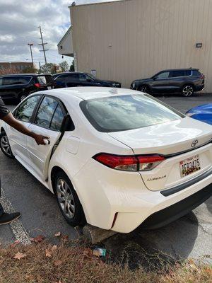 Toyota Corolla rental car