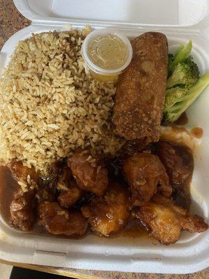 Honey Garlic chicken combo