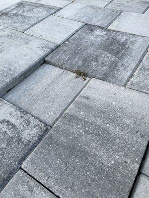 Affordable Pavers