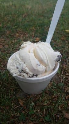 Chocolate chip ice cream. A small cup costs about $4.