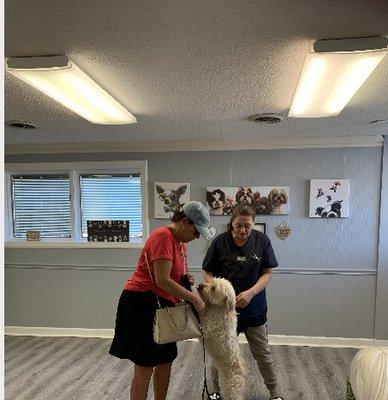 One of our newest customers this morning.  Binnington a mini Golden Doodle.  He so handsome