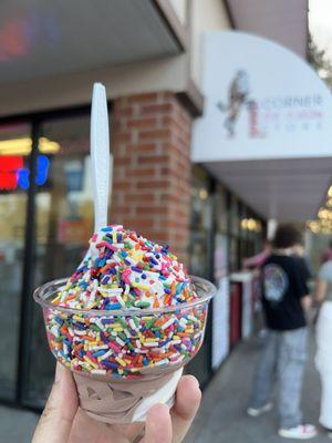 Chocolate/ Vanilla twist ice cream with rainbow sprinkles