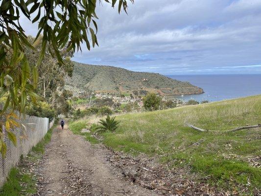 Two Harbors-the Isthmus of Catalina