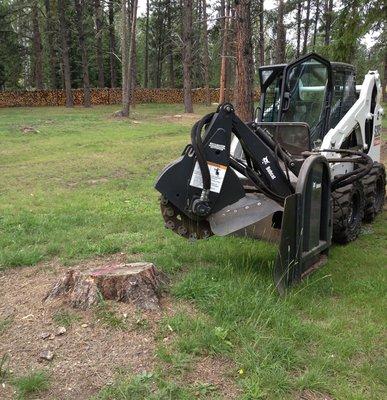 Bradeen stump grinding Rapid City