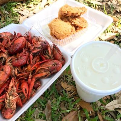 2016 shared with friends: crawfish ($11), fried green tomatoes ($5), and daiqs ($8)