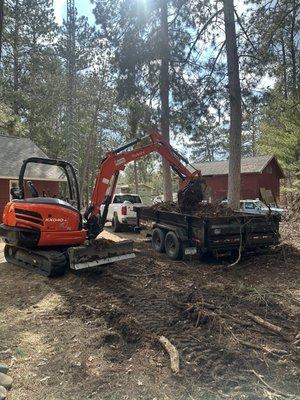 Tree/brush removal and haul out