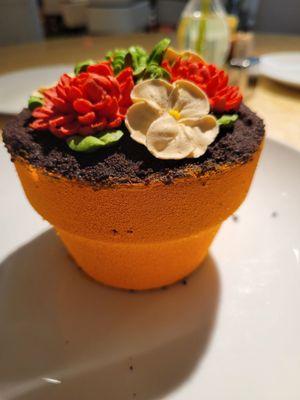 Flower Pot Cake