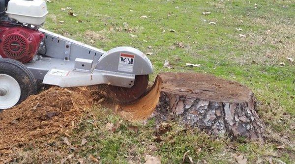 Stump Removal