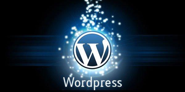 We Do Wordpress Websites for you