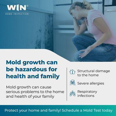 Mold